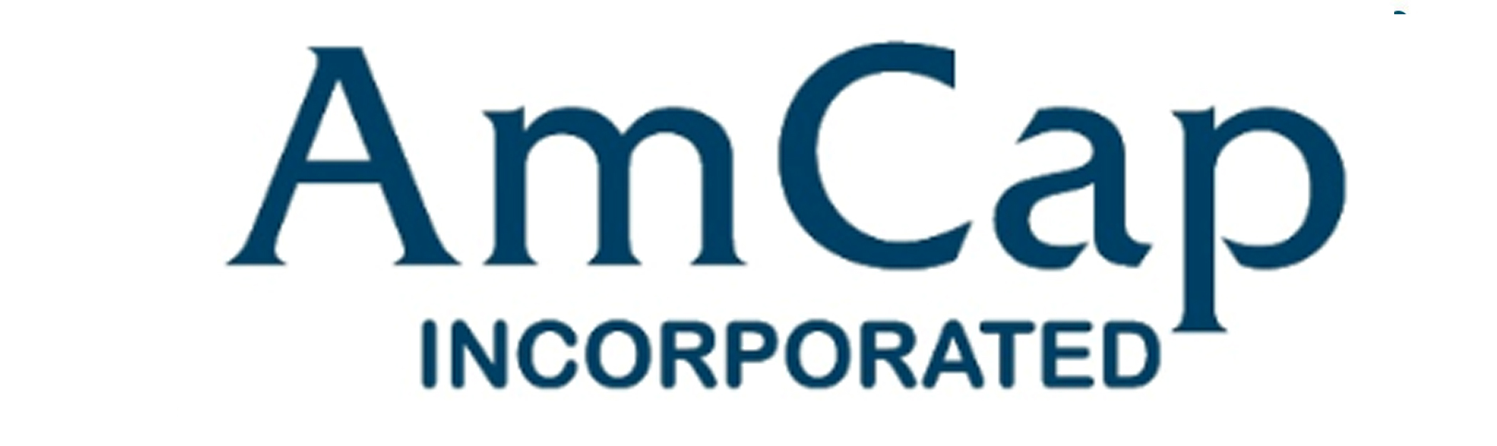 Amcap: Company OverviewCategory