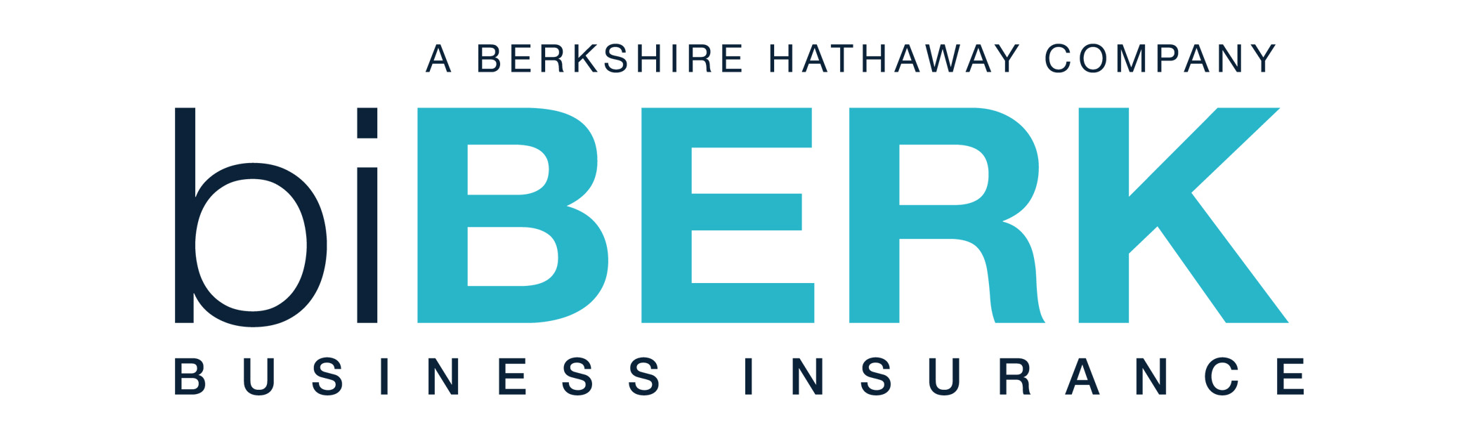 BiBerk: Company ProfileCategory