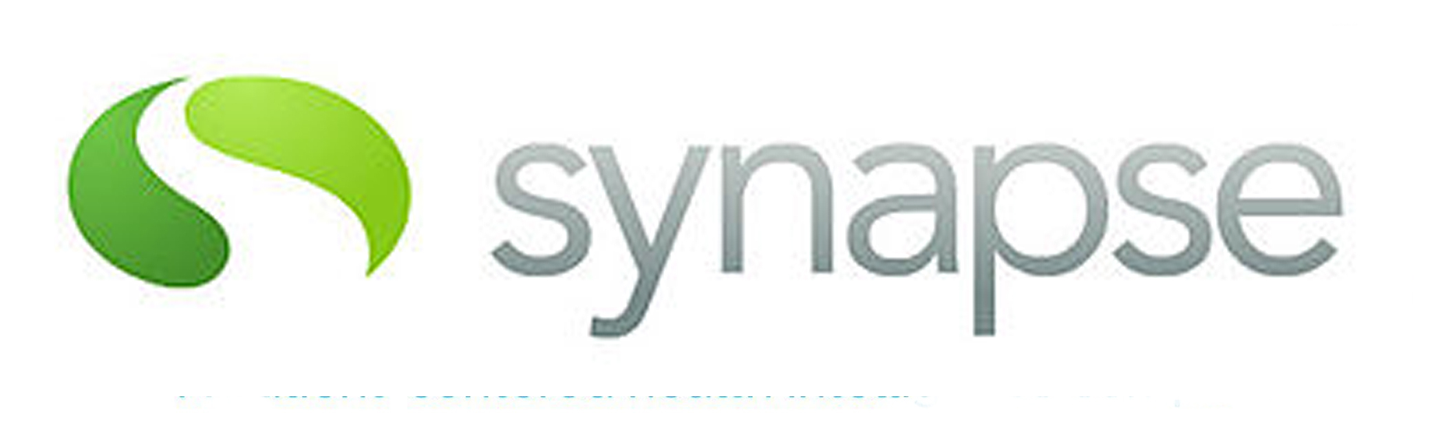 Synapse Group: Company ProfileCategory