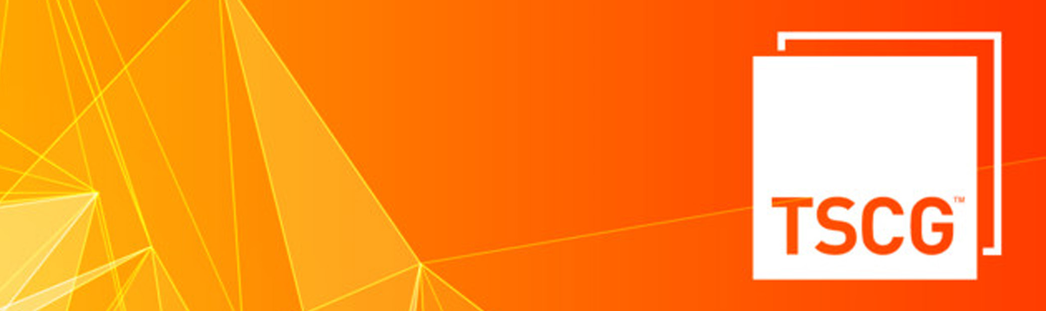 The Shopping Center Group: Company ProfileCategory