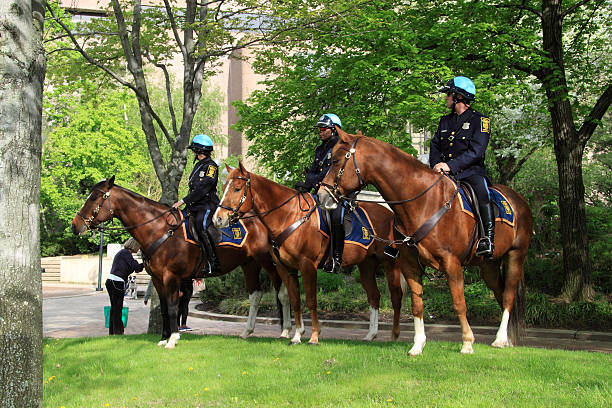 City of Stamford is hiring Entry-Level Police Officers in the Fall of 2026